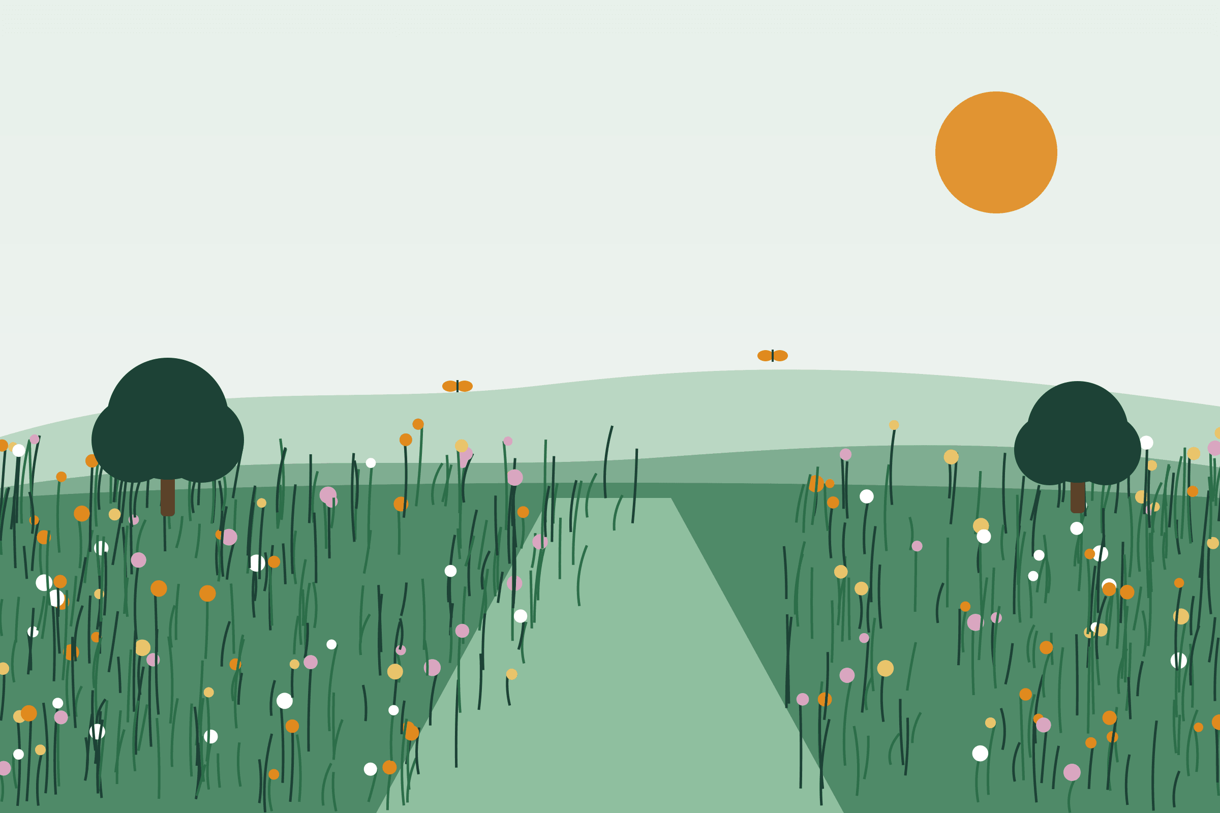 Species-rich wildflower meadow managed under a habitat plan