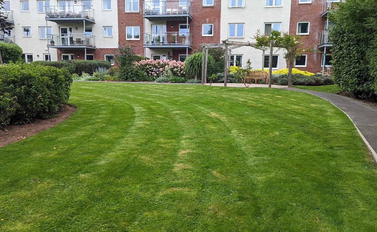 Maintained striped lawn and planted borders in front of a balconied residential block